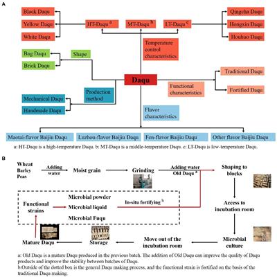 Functional microorganisms in Baijiu Daqu: Research progress and fortification strategy for application